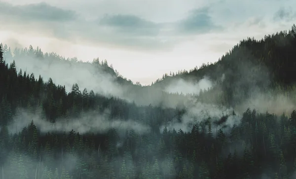 Leśne Wzgórza Pokryte Mgłą Wschodzie Słońca — Zdjęcie stockowe