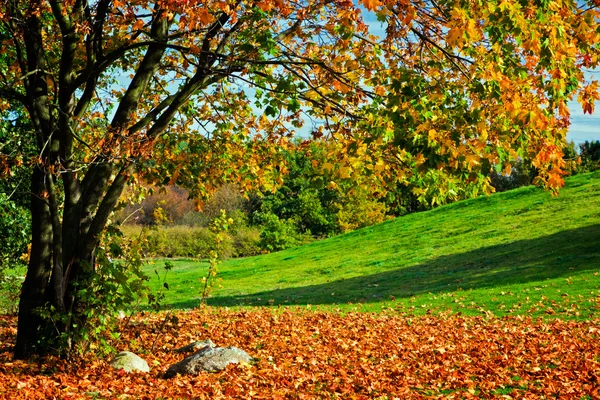 Otoño, otoño paisaje . —  Fotos de Stock