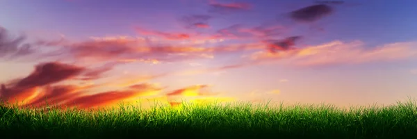 绿草上的夕阳的天空. — 图库照片