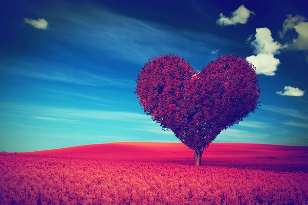 Red Heart shape tree — Stock Photo, Image