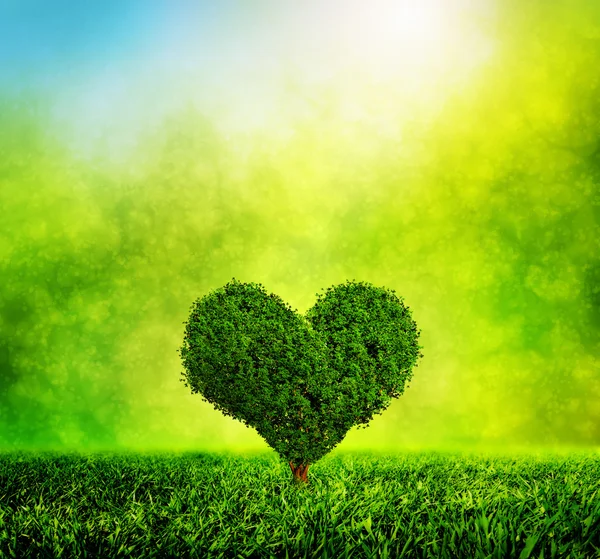 Heart shaped tree — Stock Photo, Image