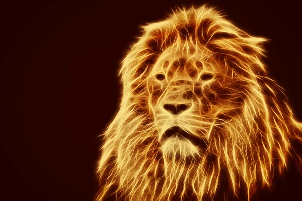 Lion with  Fire flames fur — Stock Photo, Image
