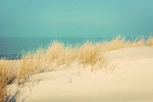 Praia ensolarada calma com dunas — Fotografia de Stock