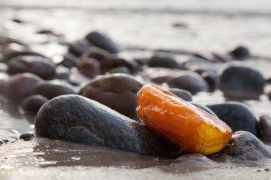 Amber stone on the beach. clipart