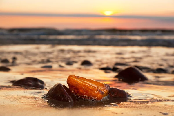 Amber stone on the beach. — Stock Photo, Image