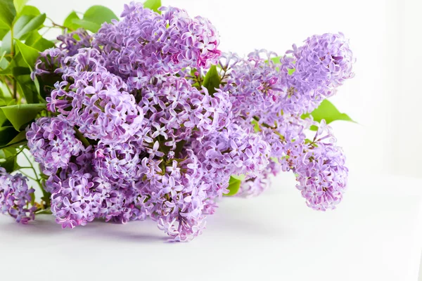 Purple spring lilac flowers blooming. — Stock Photo, Image