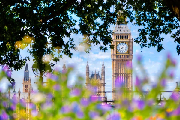 Big Ben,, Londres Royaume-Uni . — Photo