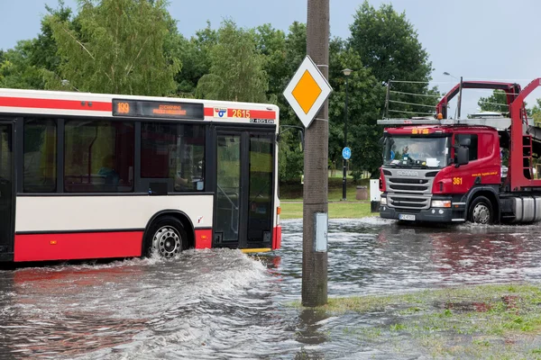 Bar trying to drive against flood — стокове фото