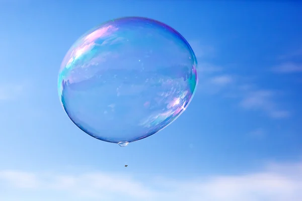 Jeden čistý mýdlová bublina — Stock fotografie