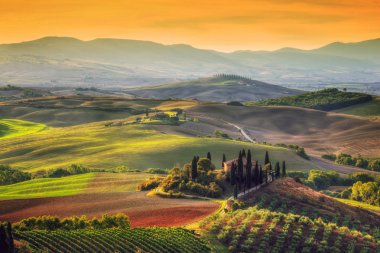 Tuscany landscape at sunrise. clipart