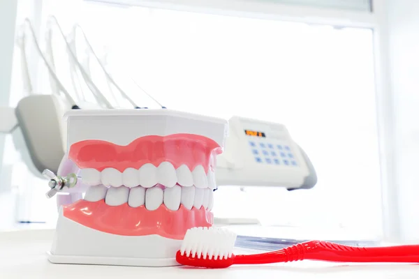 Prótesis dental limpia — Foto de Stock