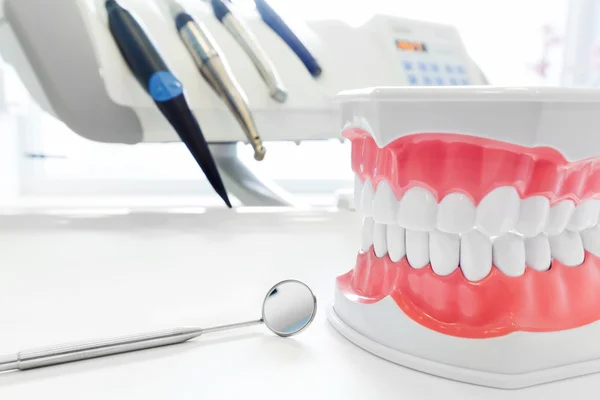 Clean teeth dental jaw model, — Stock Photo, Image