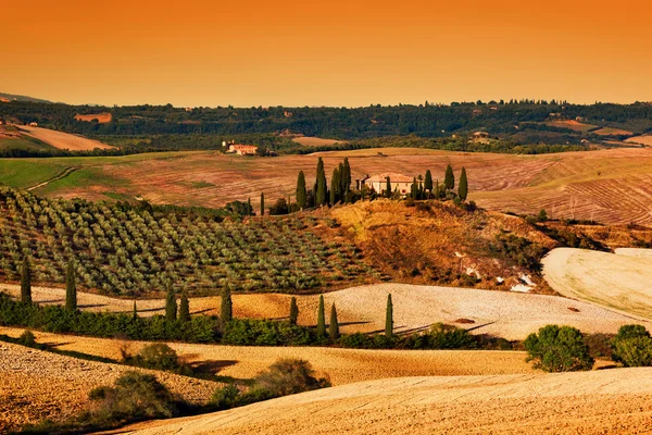 Toscane landschap bij zonsondergang. — Stockfoto