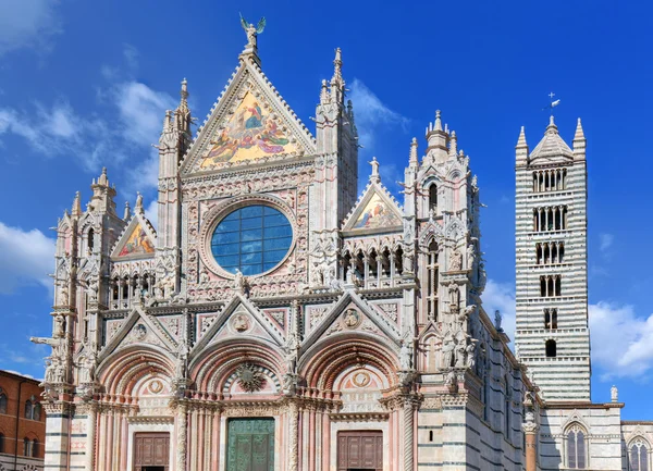 Siena katedrála Duomo di Siena — Stock fotografie