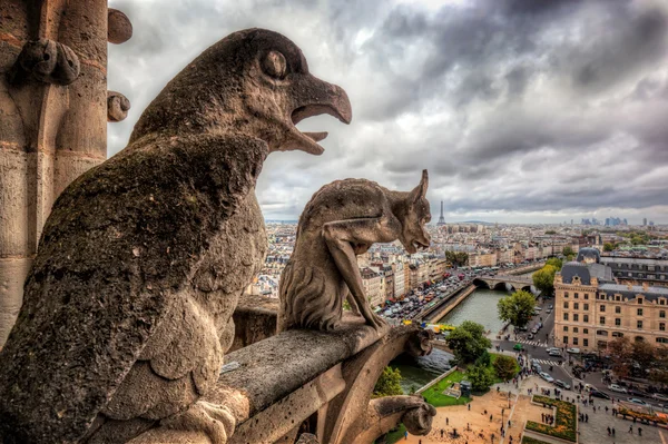 Gargoyles ve chimera heykeller — Stok fotoğraf