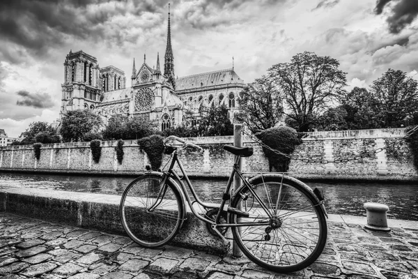 Bicicleta retro e Catedral de Notre Dame — Fotografia de Stock