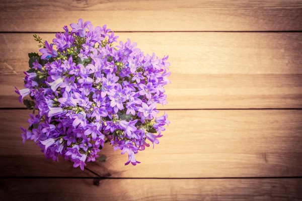 Frische Blumen auf rustikalem Holz — Stockfoto