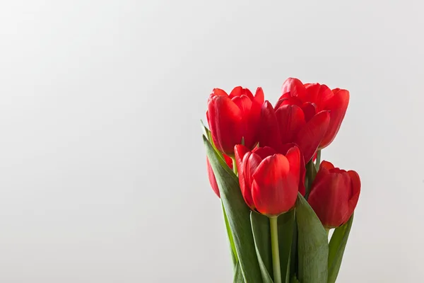 Piros tulipán virág csokor — Stock Fotó