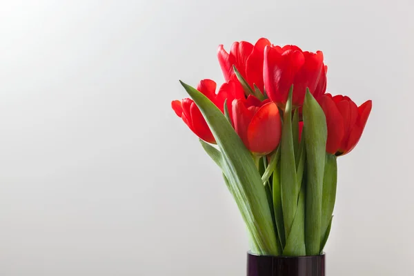 Röd tulpan blommor bukett — Stockfoto