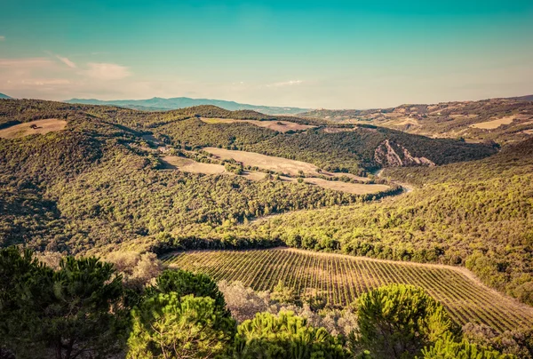 Toskanische Landschaft mit grünen Wiesen — Stockfoto