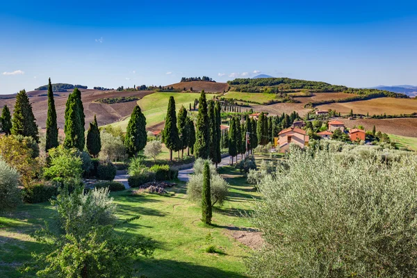 Tuscany kırsal manzara — Stok fotoğraf