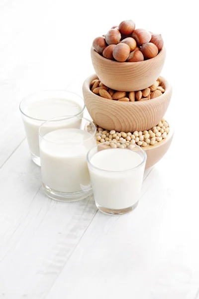 Olika vegan mjölk — Stockfoto