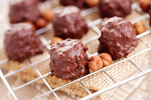 Hazelnut pralines — Stock Photo, Image