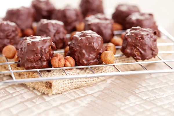 Hazelnut pralines — Stock Photo, Image