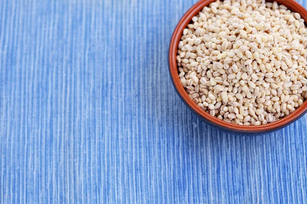 Bowl full of barley — Stock Photo, Image