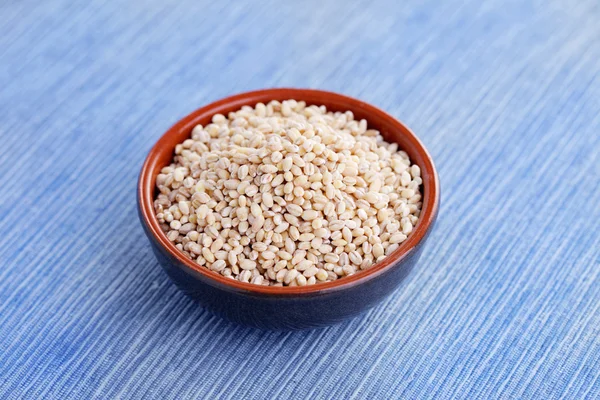 Bowl full of barley — Stock Photo, Image