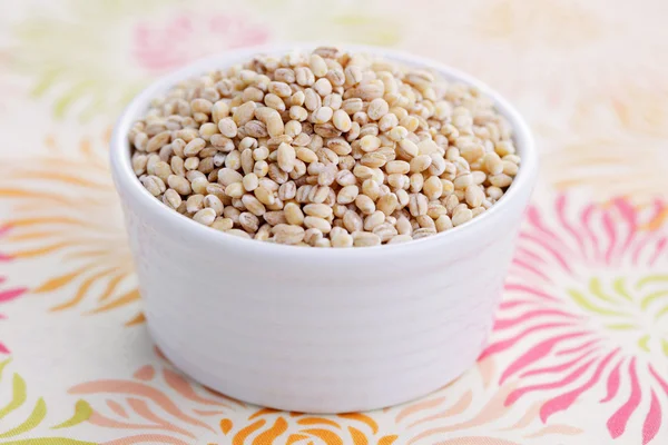 Bowl full of barley — Stock Photo, Image