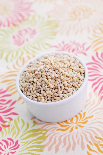 Bowl full of barley — Stock Photo, Image