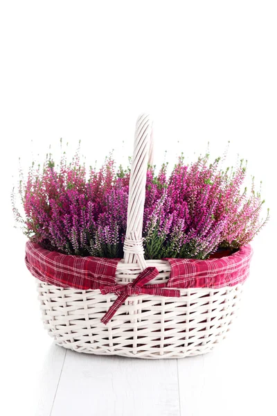 Basket full of heather — Stock Photo, Image