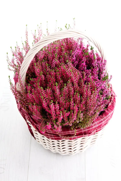 Basket full of heather — Stock Photo, Image