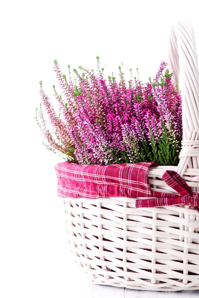 Basket full of heather — Stock Photo, Image