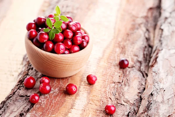 Fresh and delicious cranberries — Stock Photo, Image