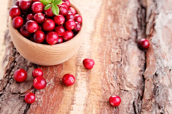 Fresh and delicious cranberries — Stock Photo, Image