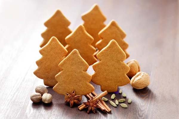 Biscuits maison au pain d'épice de Noël — Photo