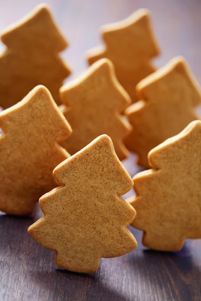 Biscoitos caseiros de gengibre de Natal — Fotografia de Stock
