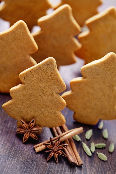 Biscoitos caseiros de gengibre de Natal — Fotografia de Stock