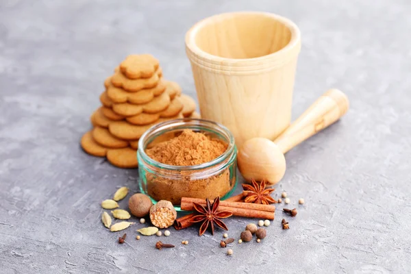 Panes de jengibre caseros y especias — Foto de Stock