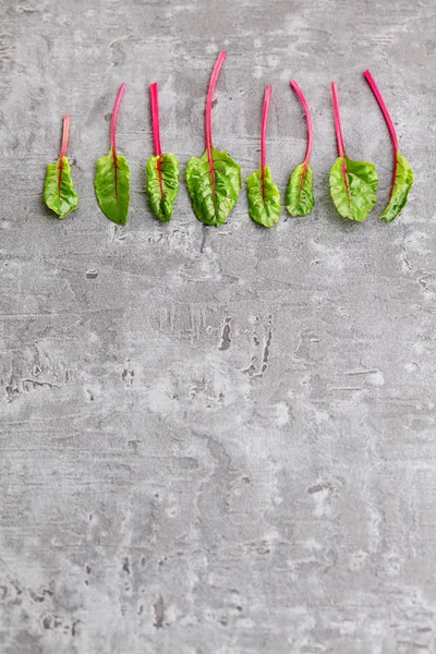 Fresh beetroot leaves — Stock Photo, Image