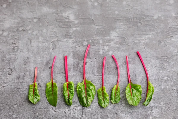 Fresh beetroot leaves — Stock Photo, Image