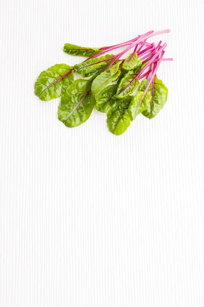 Fresh beetroot leaves — Stock Photo, Image