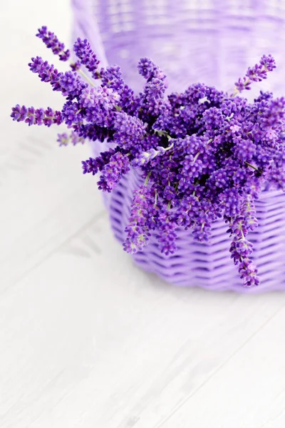 Hasır sepet içinde Lavende — Stok fotoğraf