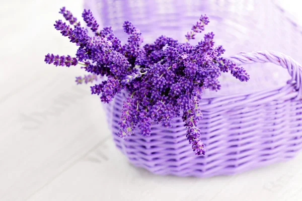 Hasır sepet içinde Lavende — Stok fotoğraf