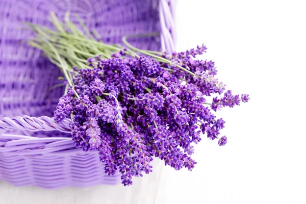 Hasır sepet içinde Lavende — Stok fotoğraf