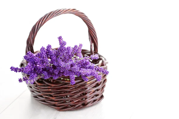 Hasır sepet içinde Lavende — Stok fotoğraf