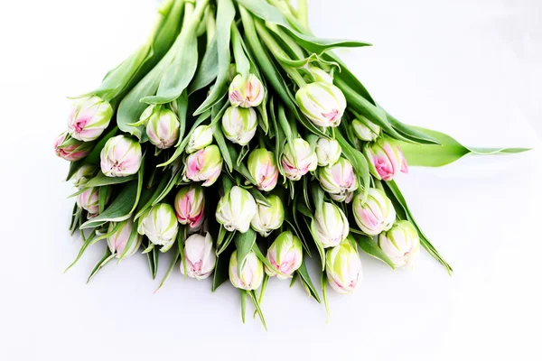 Bunch of beautiful tulips — Stock Photo, Image