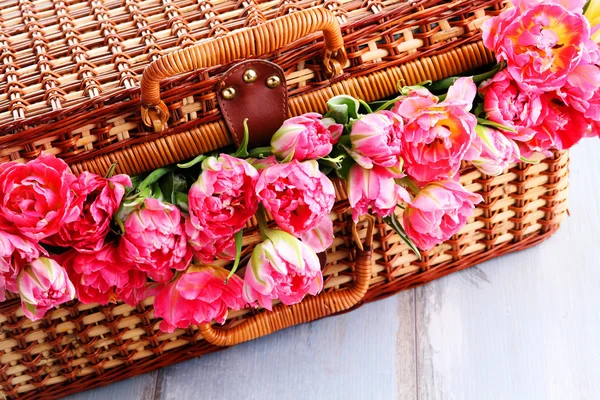 Piknikový koš plný růžových tulipánů — Stock fotografie